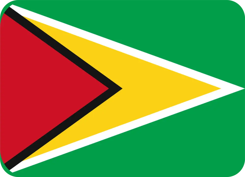Guyana flag